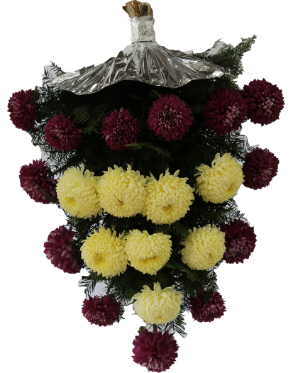 Jerba Crizantema Romanesca De Sezon