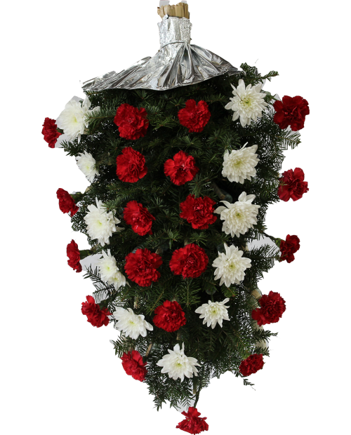 Jerba Crizanteme Olandeze Si Garoafe