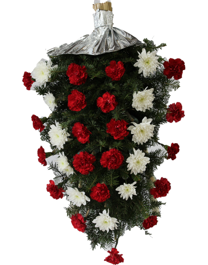 Jerba Crizanteme Olandeze Si Garoafe